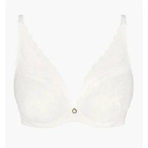 Push-up BH Rosessence